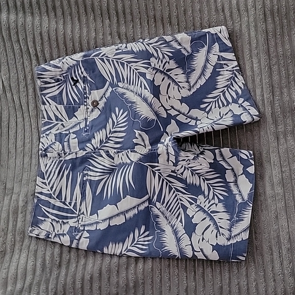 American Eagle shorts - Picture 5 of 6